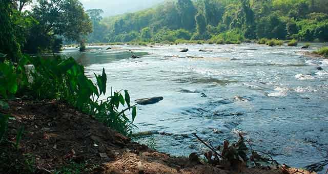 resorts near Athirapally waterfalls