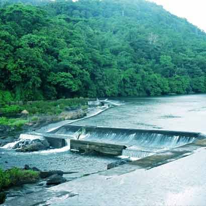 Top cottages in athirapally