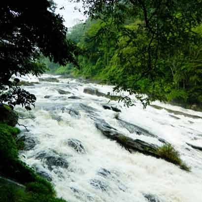 Stay in athirapally